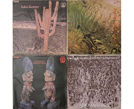 CONTEMPORARY/FUSION JAZZ - LP RARITIES. Space-age bundle of 4 x collectable original UK pressing LPs. Titles are Ugly Custard