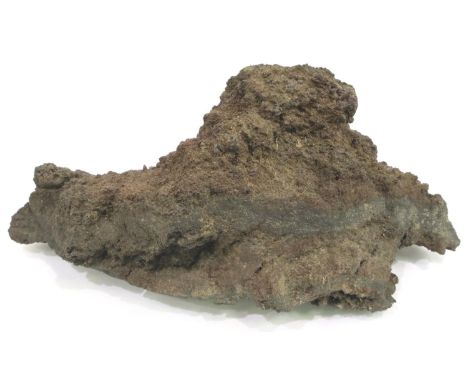Piece of Volcanic lava from The 1736 eruption on Lanzarote, L: 23 cm, 1.4kg. P&amp;P Group 2 (£18+VAT for the first lot and £