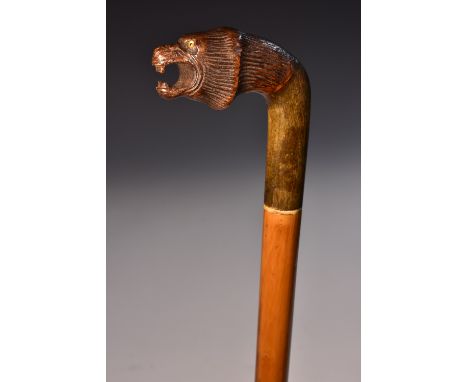 A late 19th century novelty hardwood and malacca walking stick, the pommel carved as a lion's head, the mane in relief, inset