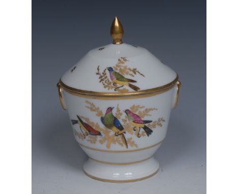 A Paris tapering cylindrical  sucrier and cover,  probably by  by Boyer Sr de Feuillet, painted  with fancy birds perched on 