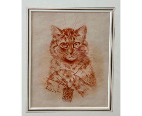 Louis WAIN (1860 - 1939) 'Cat Knitting' in red chalk, signed L.L. Sight size 29 x 2.5cm.