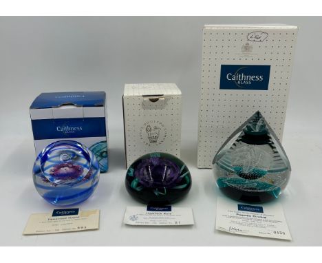 Three Caithness glass limited edition paperweights designed by Colin Terris :  Pagoda Orchid 153/250, Hyacinth Rose 81/350, H