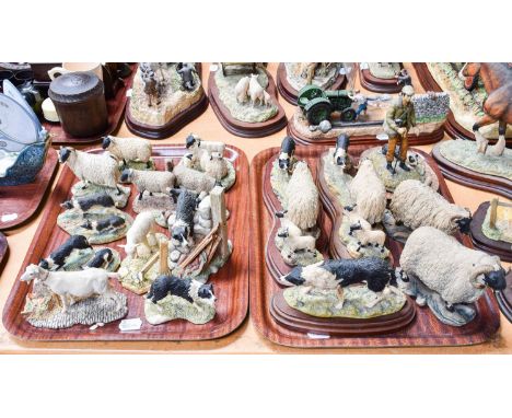 Border Fine Arts Sheep and Collie Models, including "Black Faced Tup" and "Black Faced Ewe and Lambs", both by Mairi Laing Hu