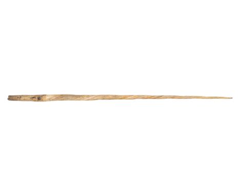 Ø A FINE LATE 19TH CENTURY NARWHAL (MONODON MONOCEROS) TUSKof typical barley twist form, light buttery hue with mild warp and