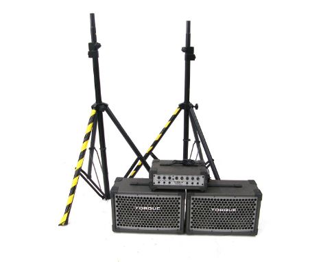 Torque 2503SK Stereo Keyboard amplifier; together with a pair of matching speakers; also a pair of good quality Pulse heavy d