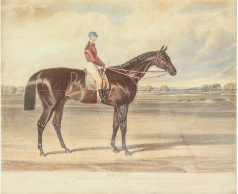 After J. F. Herring Amato - Winner of the Derby Stakes at Epsom 1838 lithograph 15 x 18½in (38 x 47cm), frame 51 x 60cm