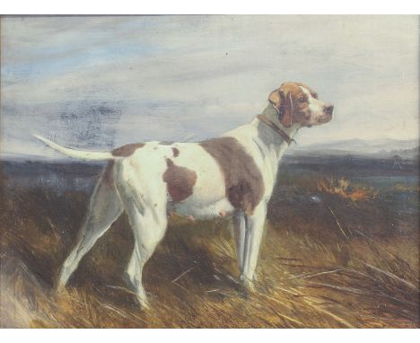 English School (early 20th century) Portrait of a gun dog in a moorland landscape oil on board, unsigned, foliate gilt frame 