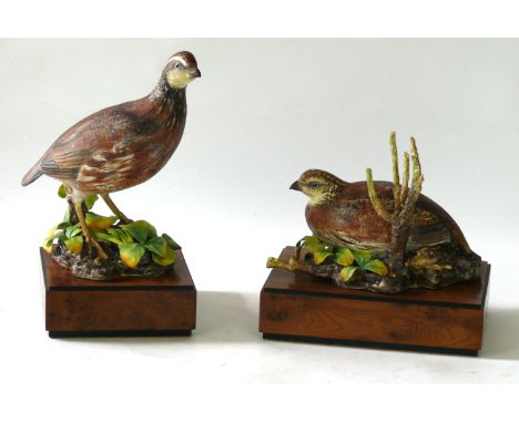 Two limited edition Royal Worcester bird figures, modelled by Ronald Van Ruyckevelt 
Modelled as a quail female and a quail m