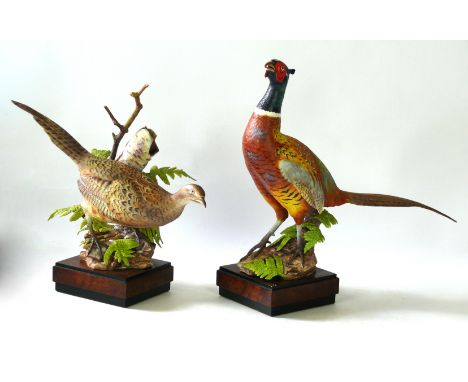 A Royal Worcester ring-necked pheasant male figure, modelled by Ronald Van Ruychevelt
With black printed factory marks and sh