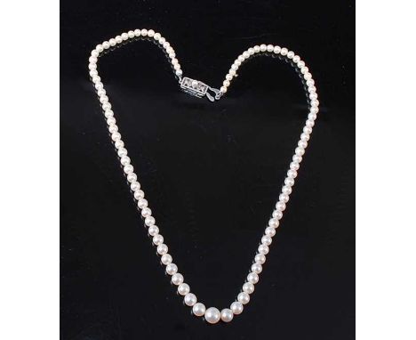A single row of ninety-nine 3.5 to 7mm Akoya cultured pearls by Mikimoto, strung plain to a white metal rectangular openwork 