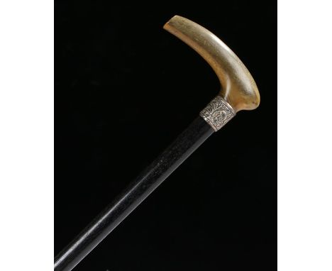Early 20th Century horn handled walking stick, the horn top possibly rhinoceros above a silver collar and ebonised cane 