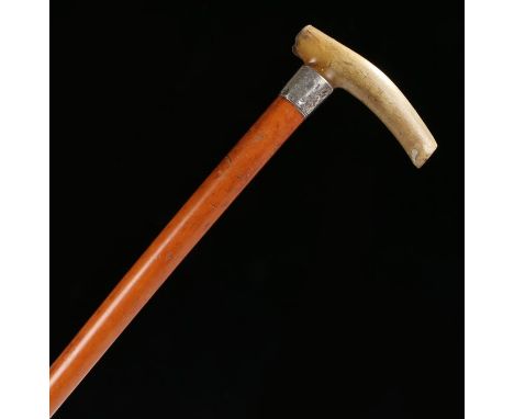 Early 20th Century horn handled walking stick, the horn top possibly rhinoceros above a silver collar and Malacca cane 