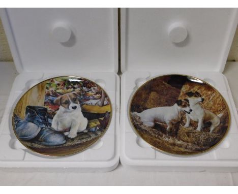 Thirteen Banbury Mint Jack Russel related plates