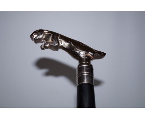 Jaguar handle walking stick