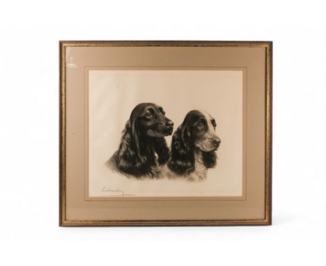 Leon DAUCHIN (French 1887-1939) A Pair Of Spaniels Lithograph Signed in pencil lower left  Framed and glazed Picture size 42 