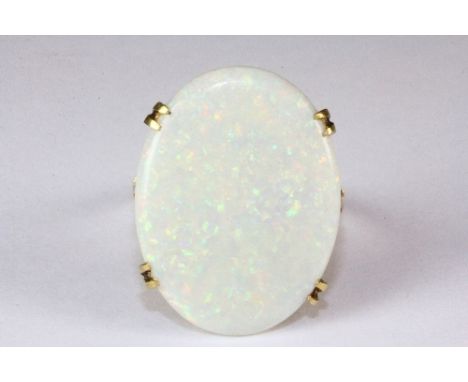 A 14ct yellow gold ring set with a large opal (2.5x2 cm), (V.5).