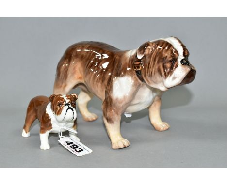 A ROYAL DOULTON BULLDOG (STANDING) HN1046, height 11.5cm and a Beswick Bulldog Bosun small, model no.1731 gloss (2) (Conditio