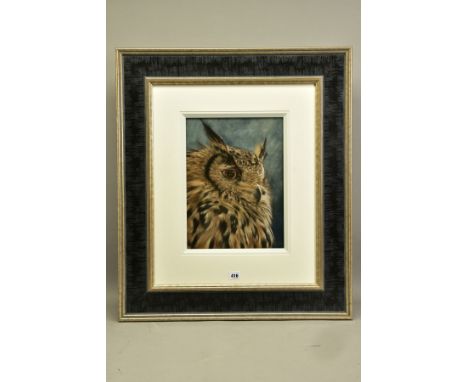 VALERIE SIMMS (BRITISH 1965) 'EAGLE EYED', a portrait of an Eagle Owl, signed bottom right, pastel on paper, approximate size