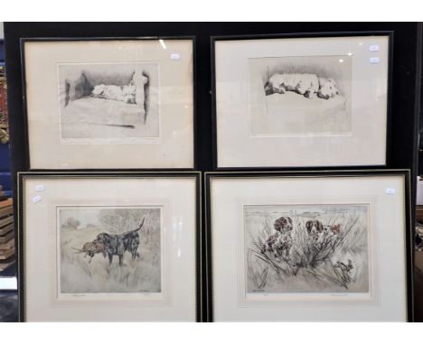 CECIL ALDIN, A PAIR OF ETCHINGS OF TERRIERS both signed, 51 x 39 cm, with a pair of coloured etchings of hunting dogs by Henr