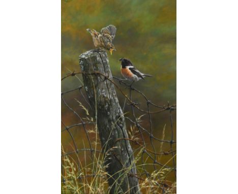 A Cuckoo and a Stonechat,signed lower right 'Alan M Hunt 2013' oil on canvas, unframed 55 x 33 cm CONDITION:Unframed. Two lig