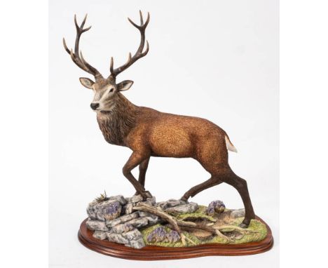A Border Fine Arts resin model B1252 'Highlander' signed R T Roberts: No. 134/150, 57 x 48cm.