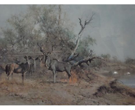 David Shepherd (1931-) lithograph titled 'Greater Kudu', blind stamped and signed in pencil to margin, 44cm x 75cm