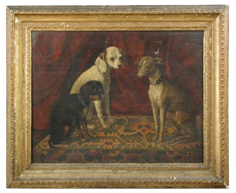 Florentine School  (17th Century) Portrait of three favourite dogs, all seated, before a red curtain, upon a 16th-17th centur