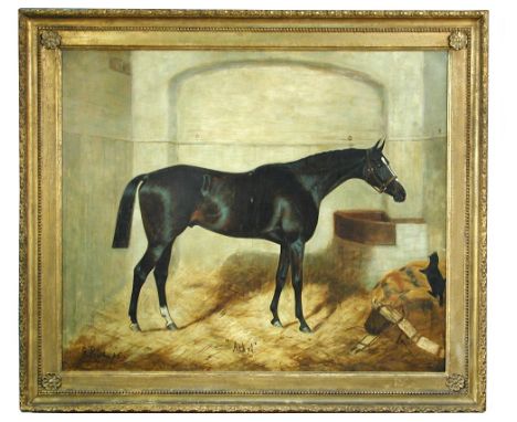 George Paice (British, 1854-1925) "Athel", a dark bay hunter in a stable with a black cat signed lower left "G Paice '95" oil