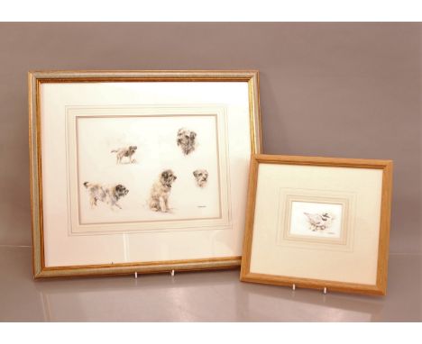 Mandy Shepherd (British b. 1960), studies of a dog and a sea bird, both watercolours and signed to the lower right, framed an
