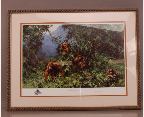David Shepherd (British, 1931-2017), Men of the Woods, Orang-utans', limited edition print, no. 595/950, frame size, 68cm x 8