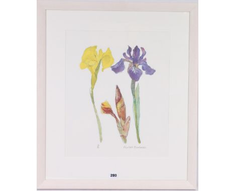ELIZABETH BLACKADDERIrisesLimited edition lithograph no 14/50, pencil signed45cm x 36cm