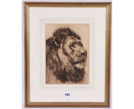 HERBERT THOMAS DICKSEE (1862-1942) Head of a Lion Etching with drypoint 28cm x 20cm