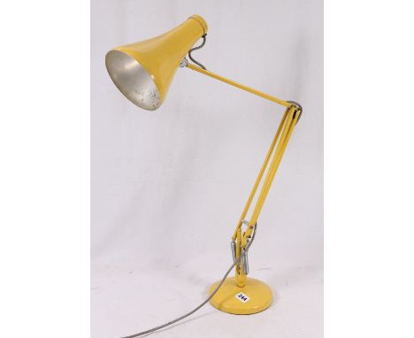 Anglepoise table lamp.