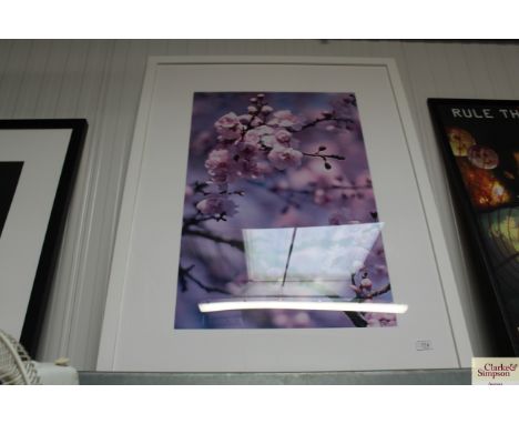 A photographic print of cherry blossom