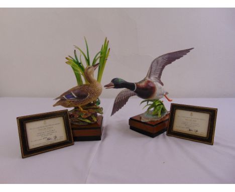 Royal Worcester figurines of Male &amp; Female Mallards limited edition 289/500 modelled by R. Van Ruyckevelt to include COA 
