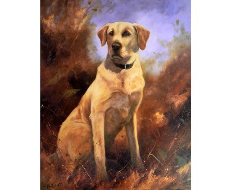 † John Trickett (British, b.1952), a portrait of a Labrador, limited edition print 508/850 published by Sally Mitchell, signe