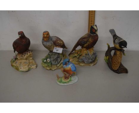 Group of various modern porcelain model birds