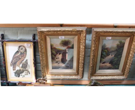 A pair of 19th Century oils on board of bridge and waterfall scenes plus a 19th Century owl print
