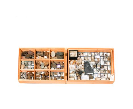 A wooden museum storage box containing two trays of fossils from the USA. Including molluscs, corals, plants and fossil wood.