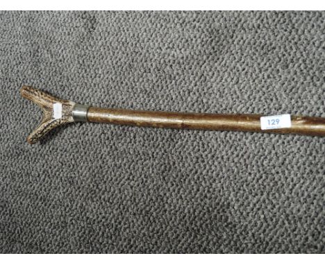 A birch shafted walking cane or stick having animal horn handle
130cm long