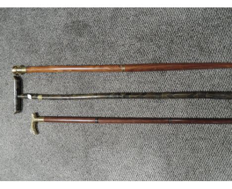 A group of three modern walking sticks, one with compass handle.