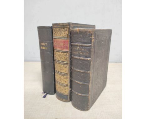 Breeches Bible.&nbsp;&nbsp;Old Testament with no title or prelims, New Testament with eng. title, 1608 &amp; concludes with T