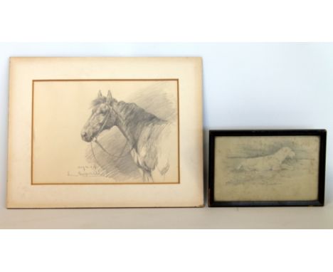 LUCY KEMP-WELCH (British 1869-1958)Portrait study of a horse.Pencil.17.5cm x 24cm, unframed.Signed and dated August 12,1907, 