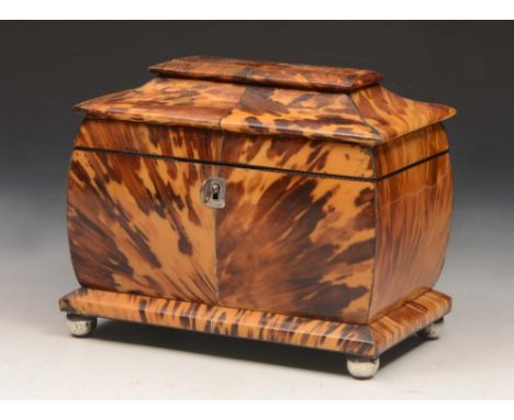 A REGENCY SARCOPHAGUS SHAPED TORTOISESHELL TEA CADDY with twin divisional interior, lock, key and ivory ball feet 17cm wide