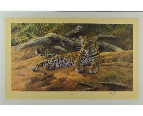 ANTHONY GIBBS (BRITISH 1951) 'DAWNS FIRST SCENT' a limited edition print 1000/1100 of a leopard at rest, signed and numbered 