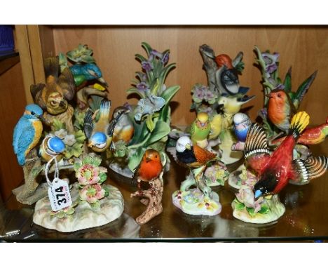 A COLLECTION OF BIRD ORNAMENTS, to include Royal Adderley 'Double Blue Tit', 'Grass Finch', two 'Budgerigar' (blue and a yell