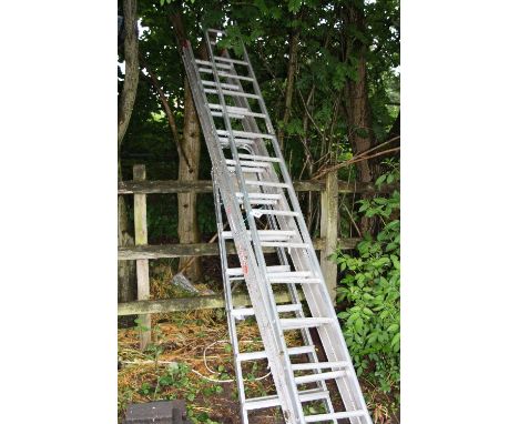 AN ALUMINUM EXTENSION LADDER, a single ladder and a pair of steps (3)