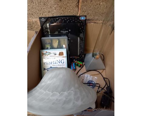 CARTON WITH SPARKLE PHOTO FRAME, LAMP SHADE, SMALL CARTON OF FISHING LURES &amp; A FISH TANK FEATURE