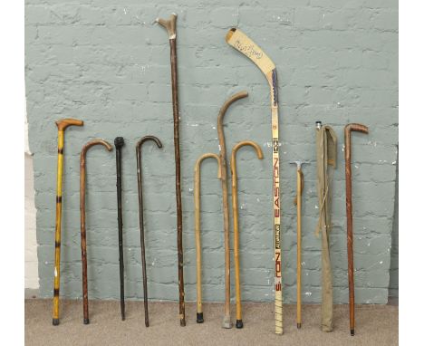 A collection of walking sticks including silver collared example, a split cane fly fishing rod and a hockey stick.