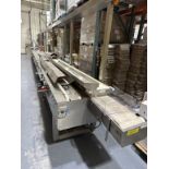Unifiller ACIS Cake Icing Line